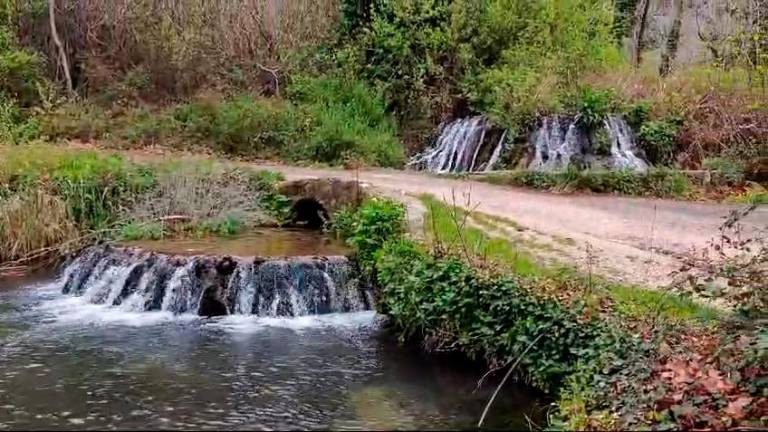 Un nacimiento como pocos, un bosque entre olivos el de Mata Bejid, pasen y vea agua, agua, agua...