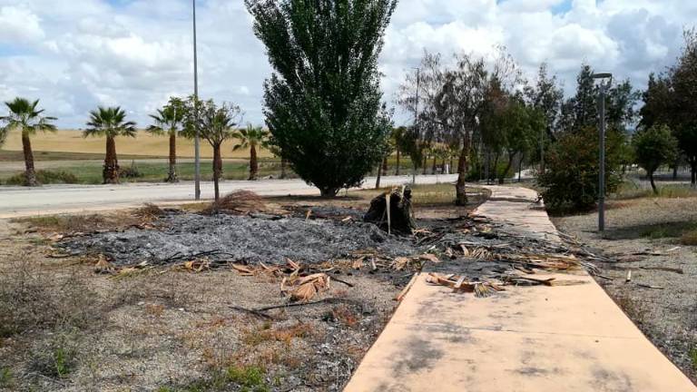 El polígono Nuevo Jaén, de la sorpresa al disgusto El polígono Nuevo Jaén, de la sorpresa al disgusto