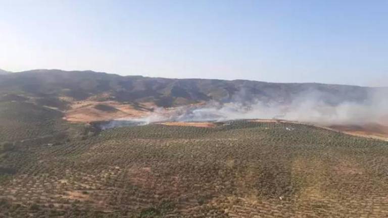 El Infoca cifra en 24 las hectáreas afectadas por el incendio del Camino San Amancio El Infoca cifra en 24 las hectáreas afectadas por el incendio del Camino San Amancio
