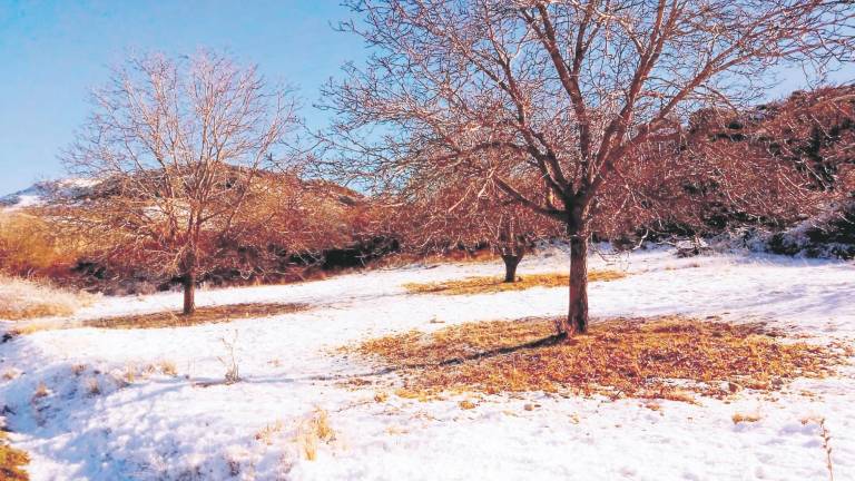La comarca de Segura, nevera de todo el sureste peninsular La comarca de Segura, nevera de todo el sureste peninsular