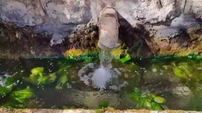 Cuatro caños tiene la fuente Cuatro caños tiene la fuente