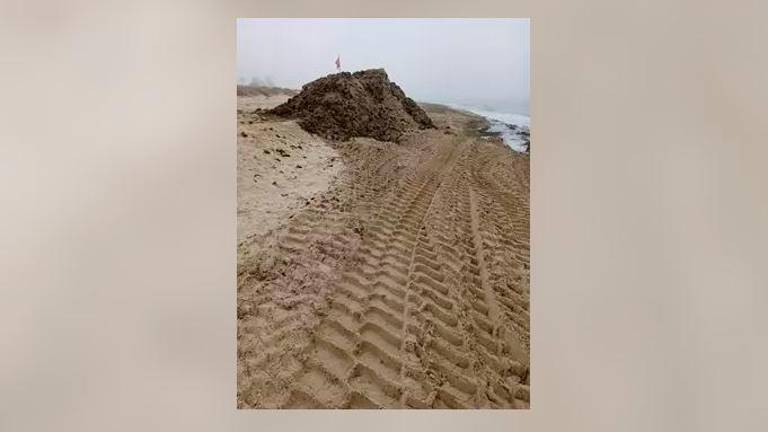 Tarifa reclama ayudas nacionales para afrontar la retirada de algas de sus playas, que suma ya 7.200 toneladas Tarifa reclama ayudas nacionales para afrontar la retirada de algas de sus playas, que suma ya 7.200 toneladas