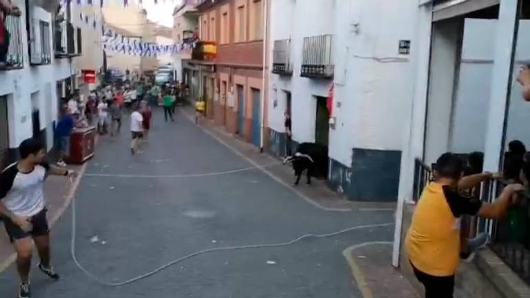 Una vaca se cuela en dos peñas de Santiago de la Espada Una vaca se cuela en dos peñas de Santiago de la Espada