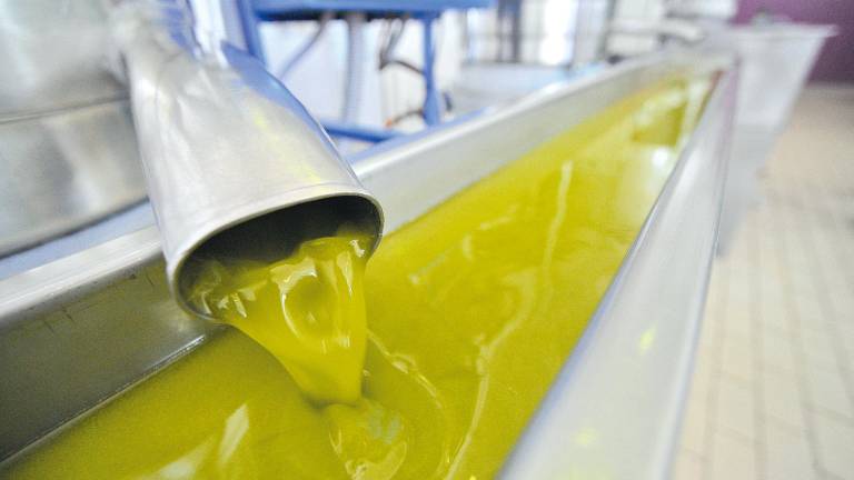 El aceite de oliva duplica sus ventas en el primer trimestre de 2025 El aceite de oliva duplica sus ventas en el primer trimestre de 2025