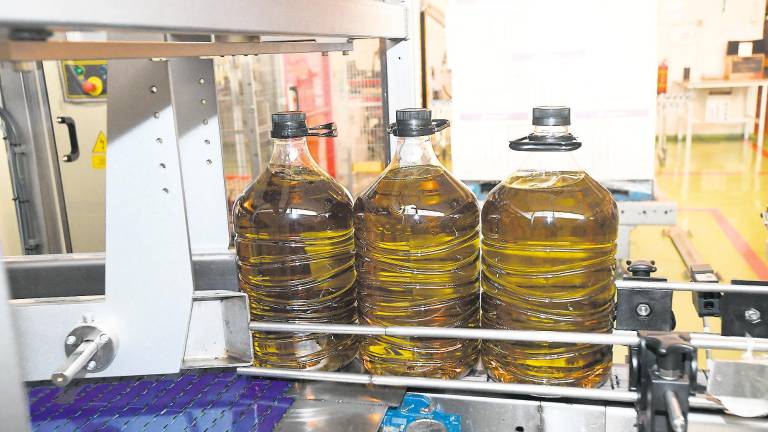 La producción de aceite se reducirá a la mitad este año La producción de aceite se reducirá a la mitad este año