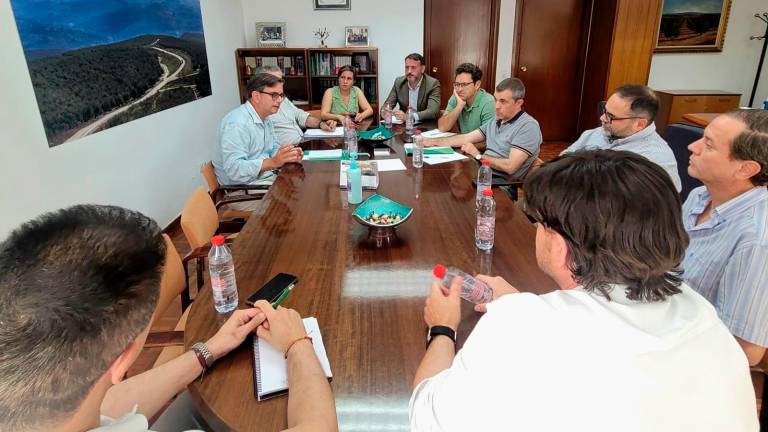 Agricultura subraya que se registra “un buen cuaje de la aceituna” pese al algodoncillo Agricultura subraya que se registra “un buen cuaje de la aceituna” pese al algodoncillo