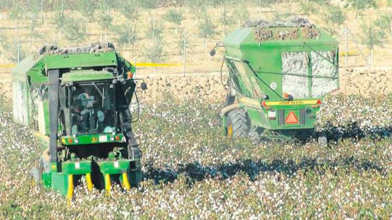 La Junta abona más de 7 millones en ayudas a la contratación de seguros agrarios para cerca de 8.400 productores La Junta abona más de 7 millones en ayudas a la contratación de seguros agrarios para cerca de 8.400 productores