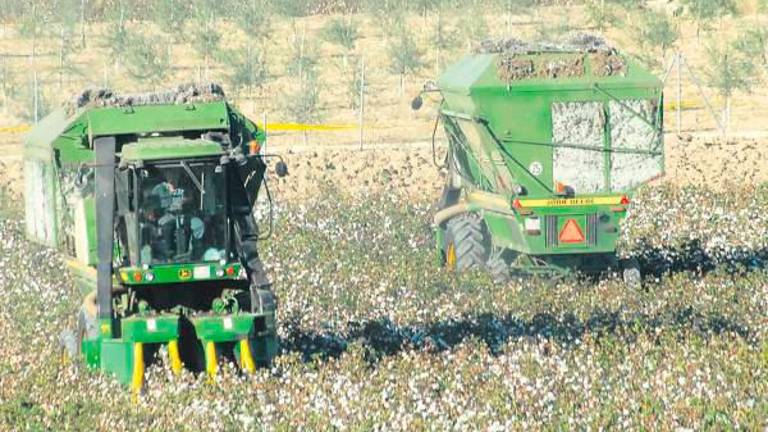 La Junta abona más de 7 millones en ayudas a la contratación de seguros agrarios para cerca de 8.400 productores