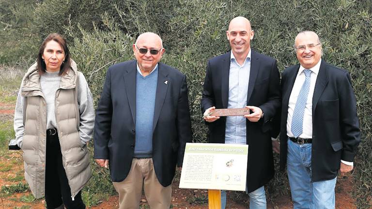 Olivos contra la despoblación Olivos contra la despoblación