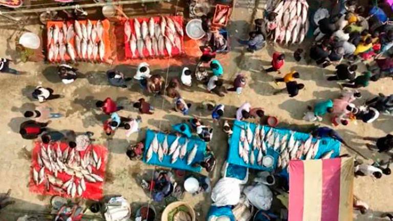 Imágenes únicas de una antigua feria del pescado en Bangladesh Imágenes únicas de una antigua feria del pescado en Bangladesh