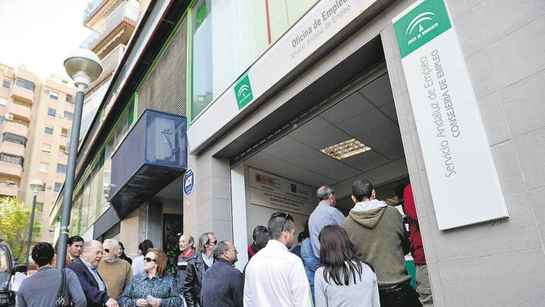 Sube el paro ante una campaña de la aceituna que no dará consuelo Sube el paro ante una campaña de la aceituna que no dará consuelo