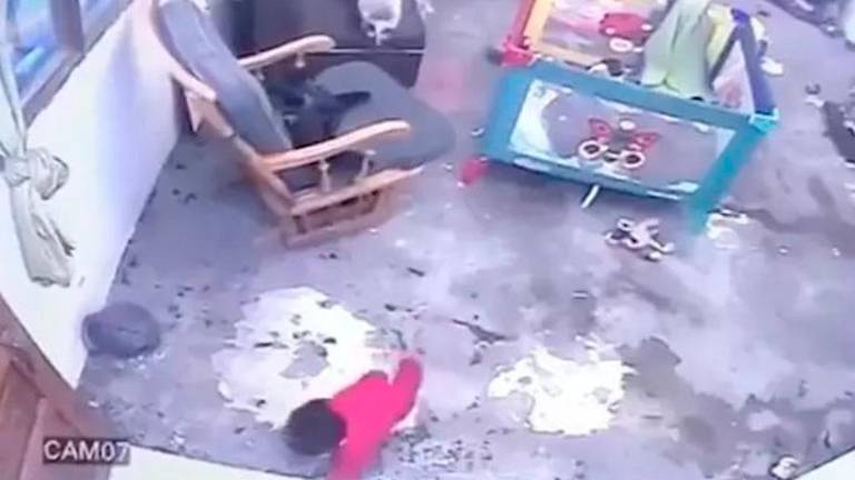 Una gata salva a un niño de un año de caer por las escaleras Una gata salva a un niño de un año de caer por las escaleras