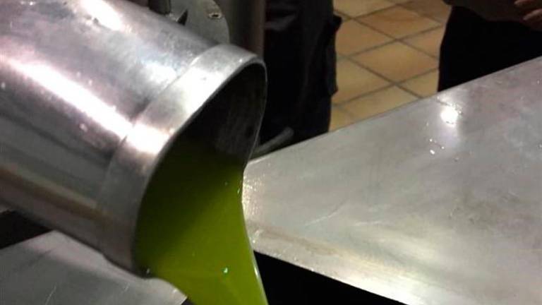 Asaja destaca la comercialización de 132.000 toneladas de aceite de oliva en julio, la mejor salida al mercado del año Asaja destaca la comercialización de 132.000 toneladas de aceite de oliva en julio, la mejor salida al mercado del año