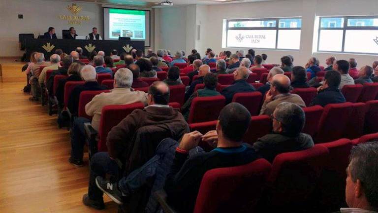 Dudas sobre el almacenamiento privado de aceite y su licitación Dudas sobre el almacenamiento privado de aceite y su licitación