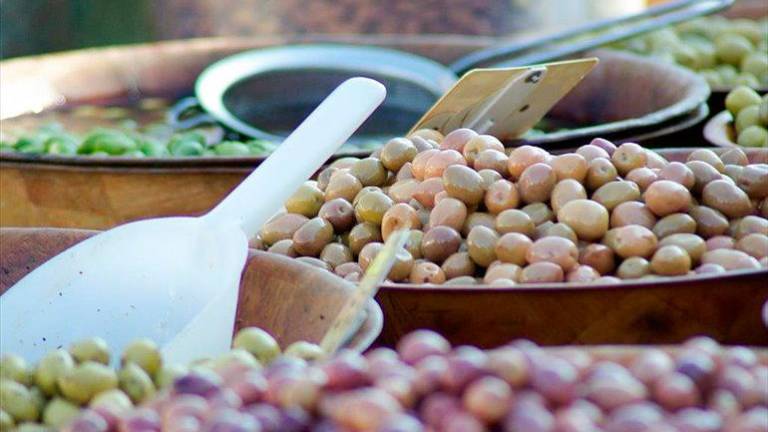Identifican bacterias en la aceituna de mesa que limitan la absorción de metales tóxicos en la digestión Identifican bacterias en la aceituna de mesa que limitan la absorción de metales tóxicos en la digestión