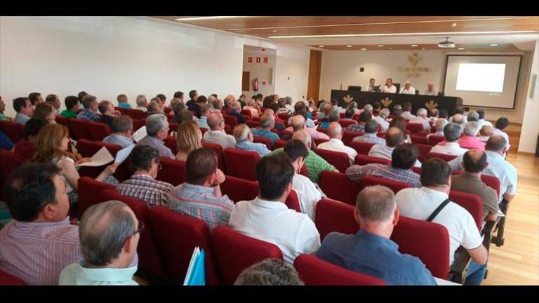 Cooperativas Agro-alimentarias prevé una caída cercana al 50% en la producción andaluza de aceite Cooperativas Agro-alimentarias prevé una caída cercana al 50% en la producción andaluza de aceite