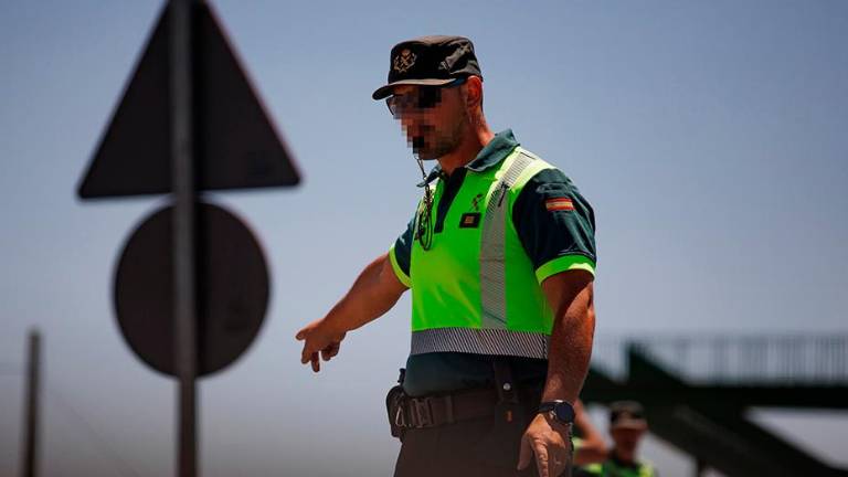 Una vaca cruza la autovía A-92 y provoca cuatro heridos en Archidona Una vaca cruza la autovía A-92 y provoca cuatro heridos en Archidona
