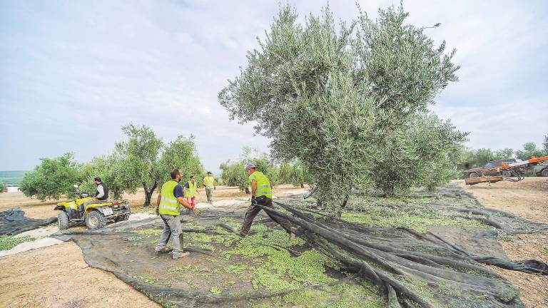 Satisfacción tras acortar las peonadas para los subsidios Satisfacción tras acortar las peonadas para los subsidios