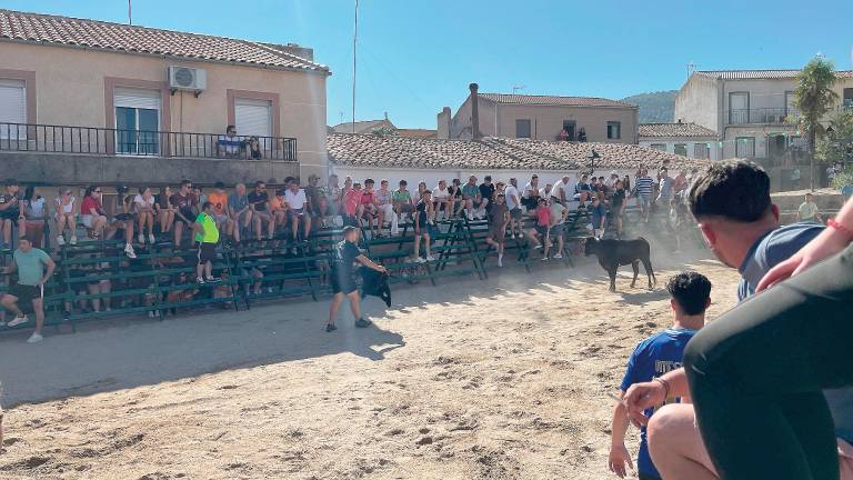 Jornada frente al sol y las vaquillas en Arquillos Jornada frente al sol y las vaquillas en Arquillos