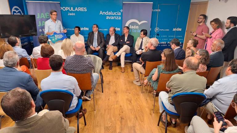 Paradela sitúa en las energías limpias “el renacer industrial de la provincia de Jaén” Paradela sitúa en las energías limpias “el renacer industrial de la provincia de Jaén”