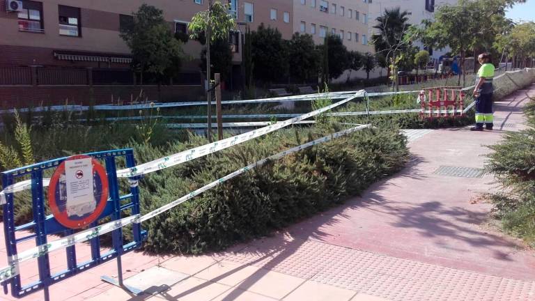 “Plan de choque” para evitar plagas de ratas y cucarachas “Plan de choque” para evitar plagas de ratas y cucarachas