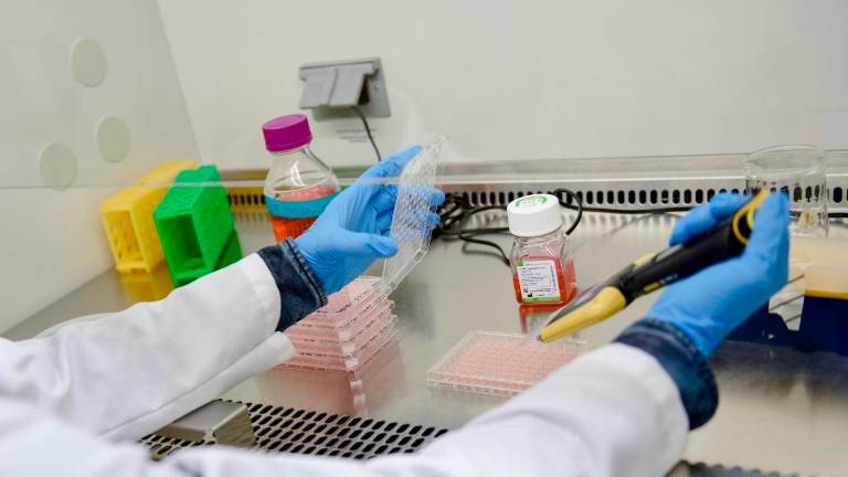 España prevé que contará con el doble de dosis de vacunas España prevé que contará con el doble de dosis de vacunas