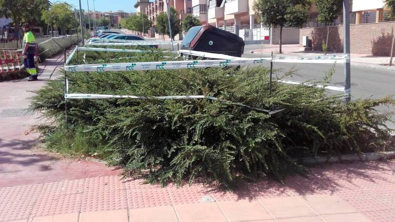 Comienza el plan de desratización del Bulevar Comienza el plan de desratización del Bulevar