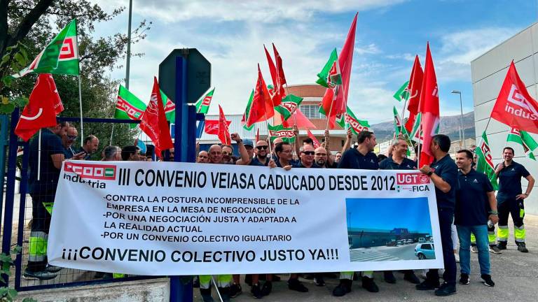 Ocho días de huelga en las ITV de Jaén para exigir la firma de un convenio caducado desde 2012 Ocho días de huelga en las ITV de Jaén para exigir la firma de un convenio caducado desde 2012