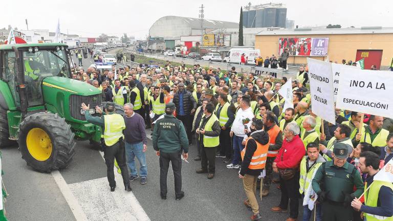 24 de febrero: próxima fecha para defender y luchar por el olivar