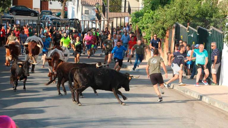 Una jornada de recortes y diversión ante el toro