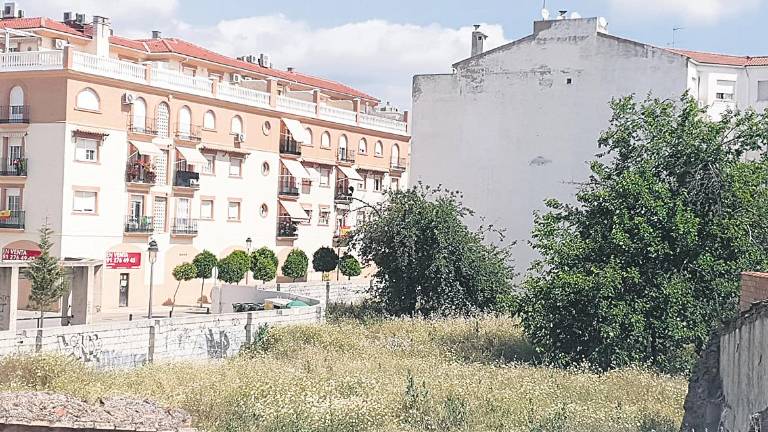 Defensa de la gestión de limpieza en parques Defensa de la gestión de limpieza en parques