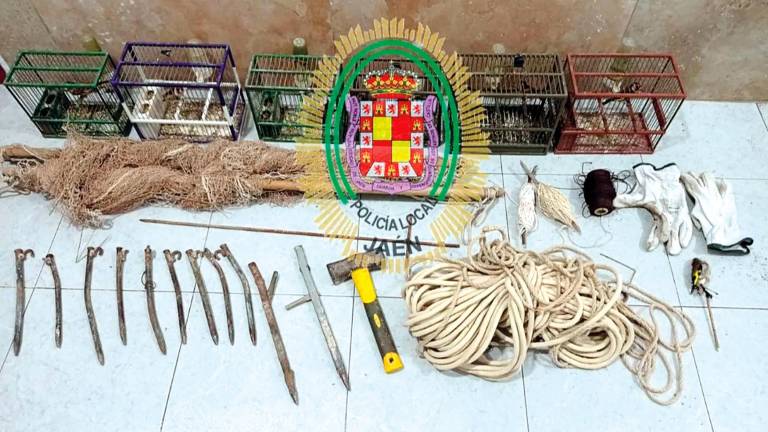 Dos investigados tras ser sorprendidos cazando aves en un olivar de Jaén Dos investigados tras ser sorprendidos cazando aves en un olivar de Jaén