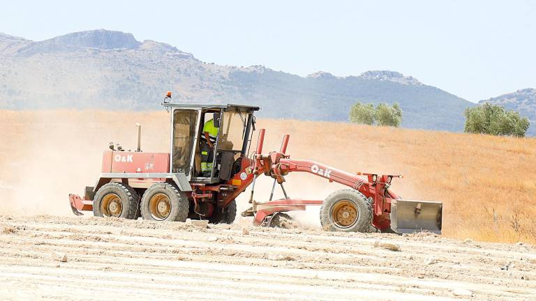 Los proyectos de Cetedex cuentan con licitaciones de más de 2 millones de euros Los proyectos de Cetedex cuentan con licitaciones de más de 2 millones de euros