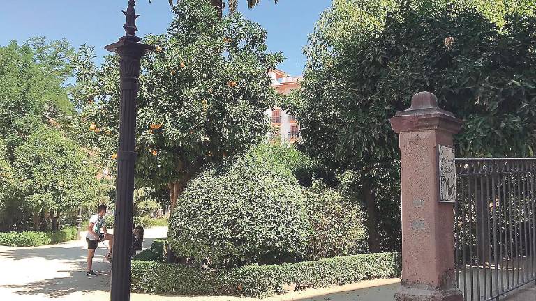 Posible robo de una placa en Linares Posible robo de una placa en Linares