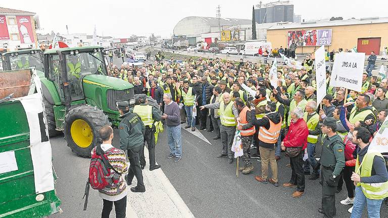 Las protestas, el camino que seguirá el olivarero