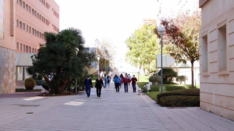 La UJA prorroga hasta el 13 de enero las clases teóricas online La UJA prorroga hasta el 13 de enero las clases teóricas online