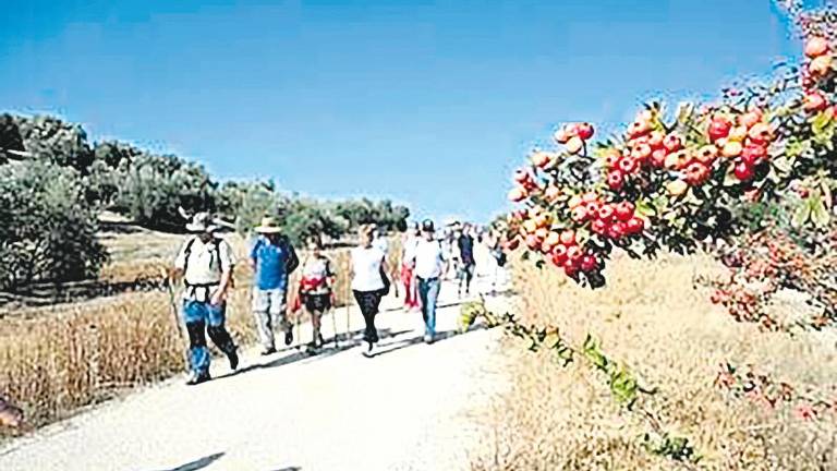 “Caminos de Pasión” ofrece rutas rurales