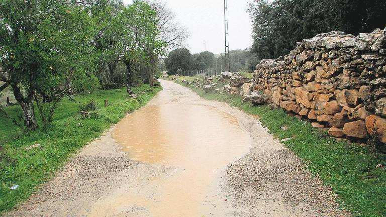 Las lluvias ya superan las del pasado año agrícola Las lluvias ya superan las del pasado año agrícola