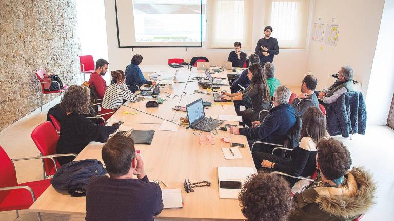 su formación su formación