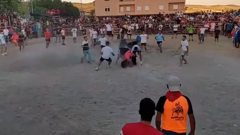 Varios sustos en el primer encierro de vaquillas en Noalejo Varios sustos en el primer encierro de vaquillas en Noalejo