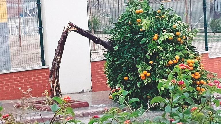 La lluvia se ceba con la provincia y registra decenas de incidencias La lluvia se ceba con la provincia y registra decenas de incidencias