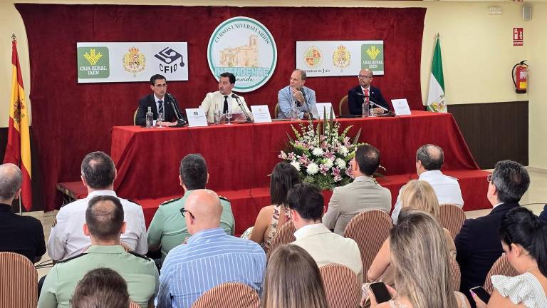 Bodas de plata de los Cursos de Verano Intendente Olavide Bodas de plata de los Cursos de Verano Intendente Olavide