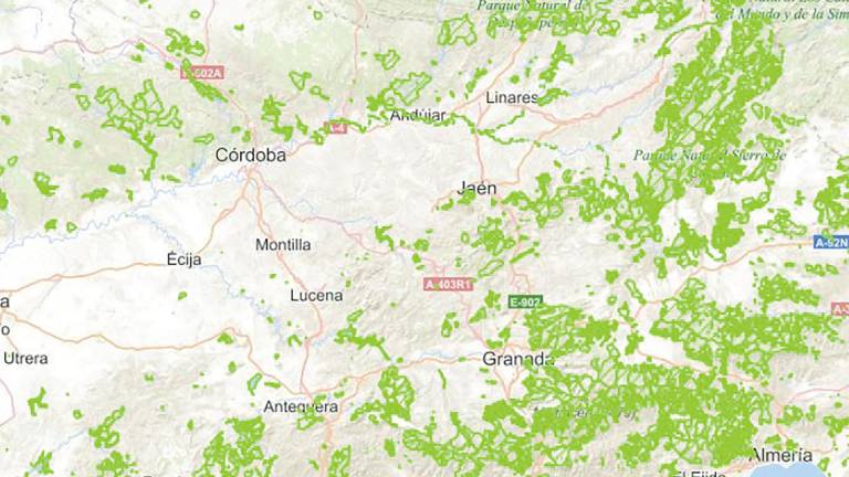 Jaén, un paraíso interior para todos los cazadores Jaén, un paraíso interior para todos los cazadores
