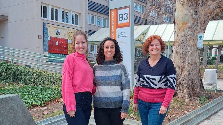 La UJA desarrolla una técnica más eficiente para crear abono con el alperujo La UJA desarrolla una técnica más eficiente para crear abono con el alperujo