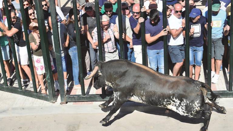 Un encierro rápido y “limpio” Un encierro rápido y “limpio”