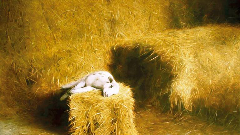 El Premio de Artes Plásticas La Rural ya tiene finalistas El Premio de Artes Plásticas La Rural ya tiene finalistas