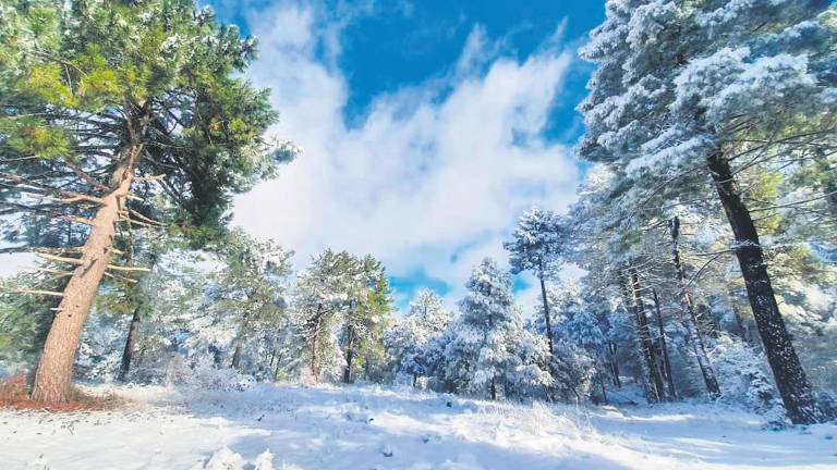 La helada trae nieve a la Sierra de Segura La helada trae nieve a la Sierra de Segura