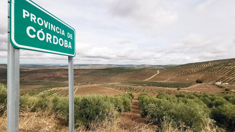 Ruta con Ña: La línea invisible que divide dos campiñas Ruta con Ña: La línea invisible que divide dos campiñas