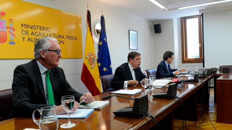 Planas se reúne con el sector oleícola para revertir la crisis. Planas se reúne con el sector oleícola para revertir la crisis.