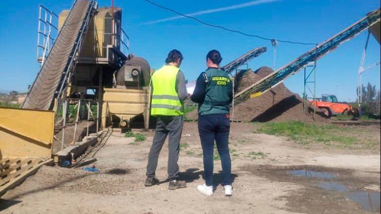 Investigadas quince personas por el robo de más de 45.000 kilos de aceituna Investigadas quince personas por el robo de más de 45.000 kilos de aceituna